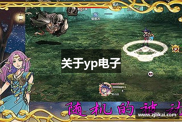 关于yp电子